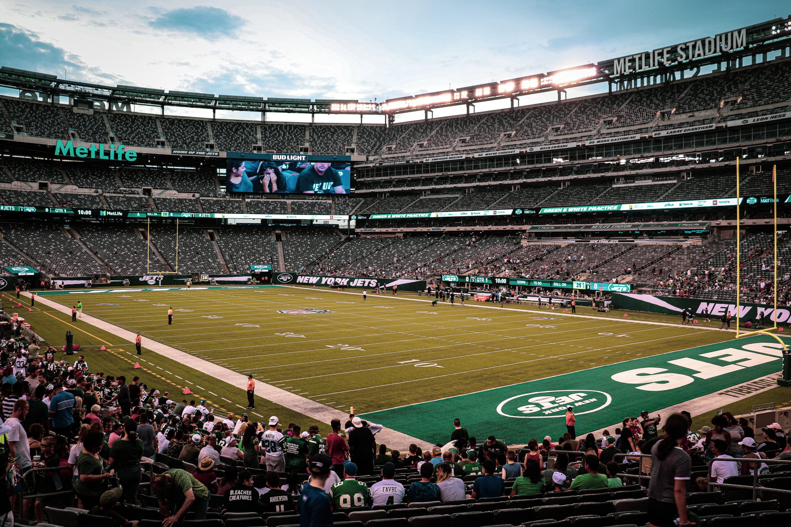 How Many NFL Stadiums Have Real Grass? The Stadiums Guide