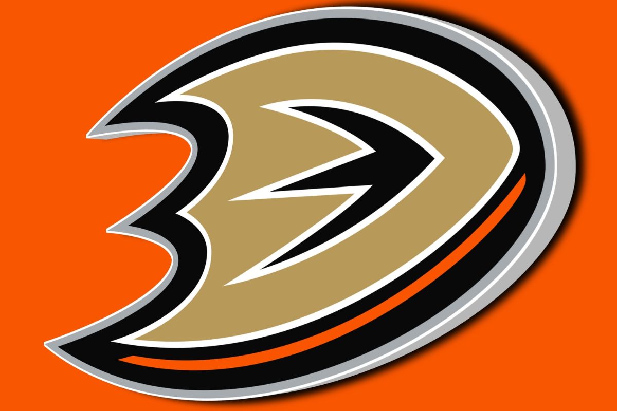 Best Place to Buy Anaheim Ducks Tickets Your Ultimate Guide The